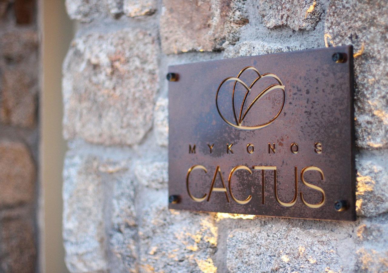 Mykonos Cactus Hotel Ornos  Exterior foto